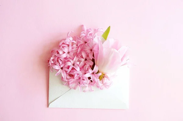 Bellissimo biglietto di auguri floreale per le vacanze primaverili. Delicato tulipano rosa in busta su fondo rosa. Colori pastello primavera. Vista dall'alto — Foto Stock