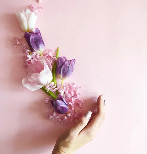 Bloemen cadeau. Prachtige tulpen vliegen uit vrouwelijke handen. Lentetijd en inspiratie. Roze achtergrond. Tulpen giacunt — Stockfoto