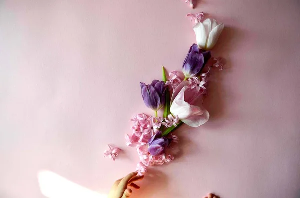 Детские руки с розовыми и фиолетовыми весенними цветами тюльпаны, чувственная студия выстрел может быть использован в качестве фона — стоковое фото