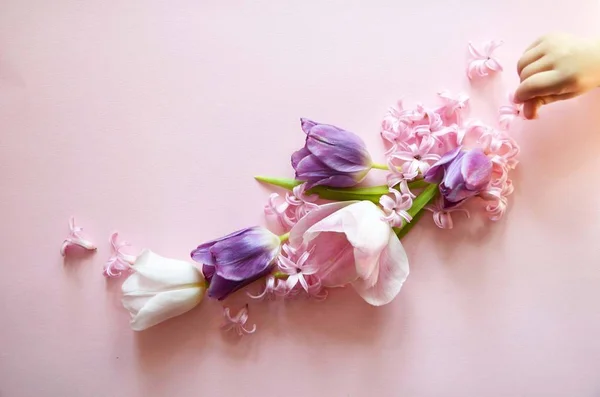 Baby handen met roze en violet lente bloemen tulpen, sensuele studio schot kan worden gebruikt als achtergrond — Stockfoto