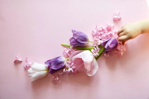 Baby handen met roze en violet lente bloemen tulpen, sensuele studio schot kan worden gebruikt als achtergrond — Stockfoto