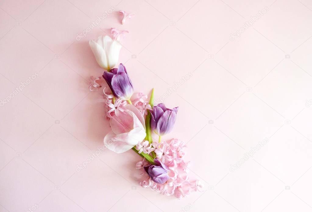 baby hands with pink and violet spring flowers tulips, sensual studio shot can be used as background
