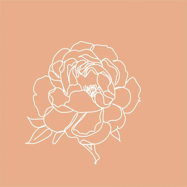 Illustration Ligne Botanique Logo Une Ligne Une Invitation Mariage Fleur — Image vectorielle