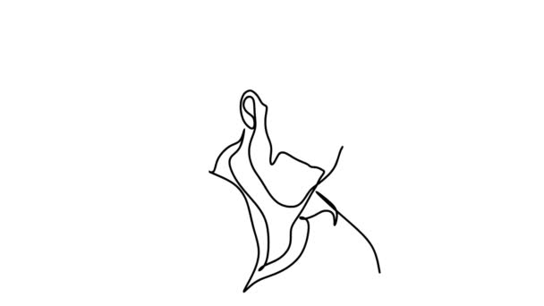 Self Drawing Simple Animation Single Continuous Line Drawing Man Line — Stock Video