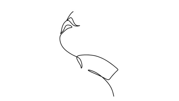 Vlastní Kreslení Jednoduché Animace Jedné Souvislé Čáry Kresby Člověka Animace — Stock video