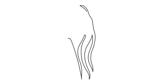 Self Drawing Simple Animation Single Continuous One Line Drawing Female — Stock Video
