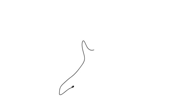 Self drawing simple animation of single continuous one line drawing of orca. Killer whale drawing by hand, black lines on a white background.