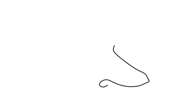 欧卡单行连续单行绘图的自绘简单动画 杀人鲸手绘黑线白色背景 — 图库视频影像