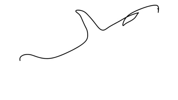 Self Drawing Simple Animation Single Continuous One Line Drawing Orca — Stock Video