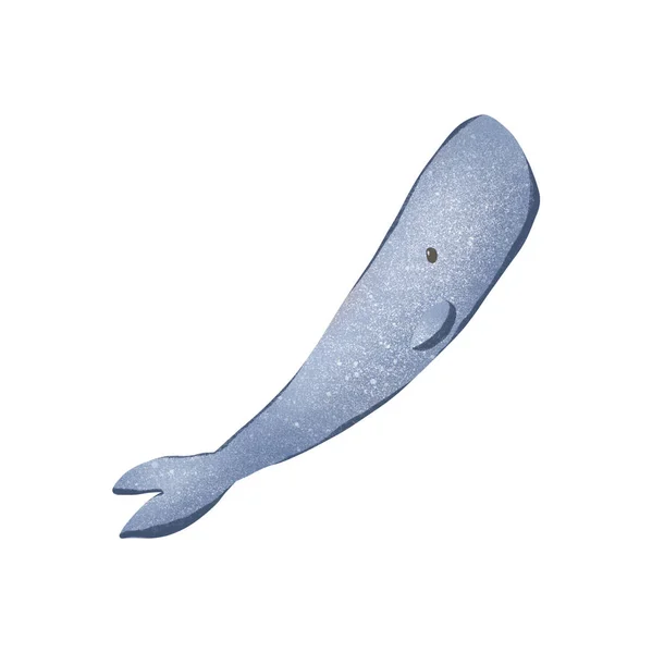 부드럽고 향유고래의 귀여운 질감적 요소를 디지털로 그림입니다 스티커 아기용 디자인 — 스톡 사진