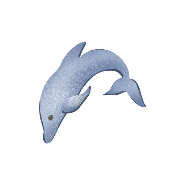 Ilustração Digital Elemento Textural Bonito Isolado Golfinho Azul Suave Impressão — Fotografia de Stock