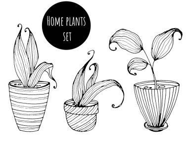 Çizgili desenli saksılarda ev bitkileri. El çizimi siyah çizgi beyaz arka planda izole edilmiş. Çıkartmalar, posterler, kartlar, çocuklar ve yetişkin boyama kitapları için uygun.