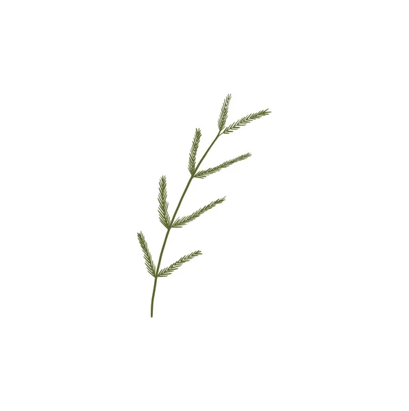 Ilustrație Digitală Plată Unui Element Simplu Drăguț Flori Mimosa Vacanță — Fotografie, imagine de stoc