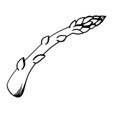 Tek bir kuşkonmaz güzel dijital sanat taslağı çiziyor. Kartlar, afişler, posterler, tekstil, restoranlar, menüler, ambalaj kağıtları, davetiye kartları, dükkanlar, boyama kitapları için yazdır.