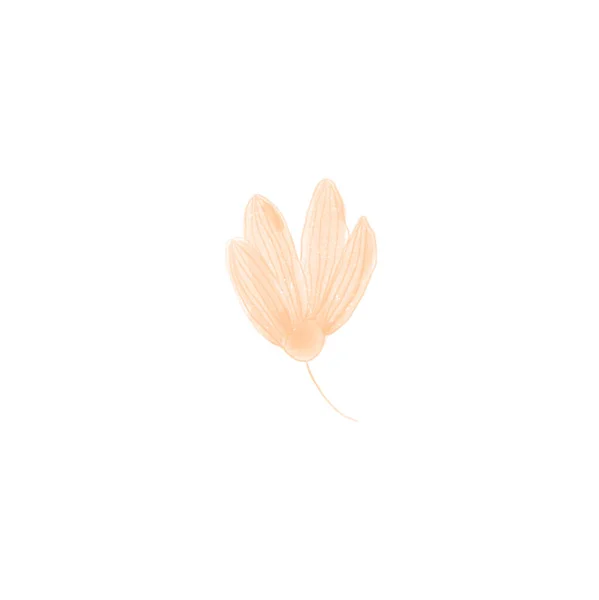 Gyengéd Aranyos Pasztell Narancs Virág Akvarell Digitális Művészet Nyomtatás Kártyák — Stock Fotó