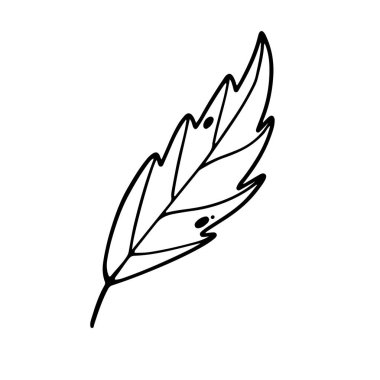 Yaprak şeklindeki karalama sanatı. Kartlar, posterler, afişler, çıkartmalar, ağ, kumaşlar, tekstil, ambalaj kağıdı, kutular, paketler, çocuklar ve yetişkinler için boyama kitapları, dekor, davetiye kartları.