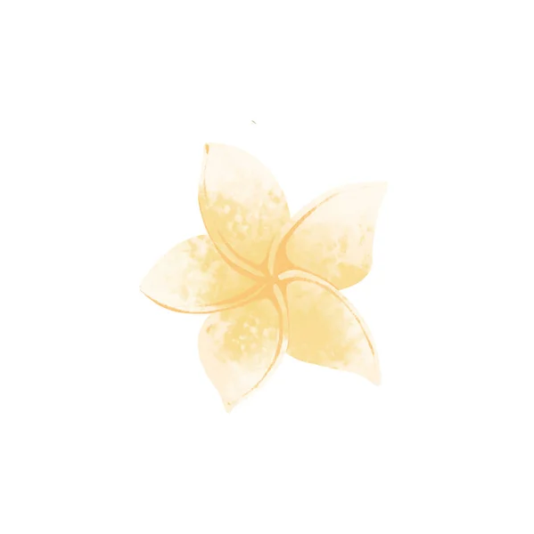Plumeria Dijital Doku Sanatının Sarı Narin Çiçeği Çıkartmalar Ambalajlar Afişler — Stok fotoğraf