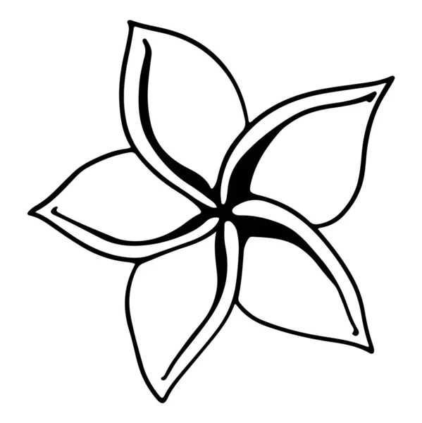 Plumeria Fiore Contorno Digitale Doodle Art Stampa Adesivi Imballaggi Banner — Foto Stock