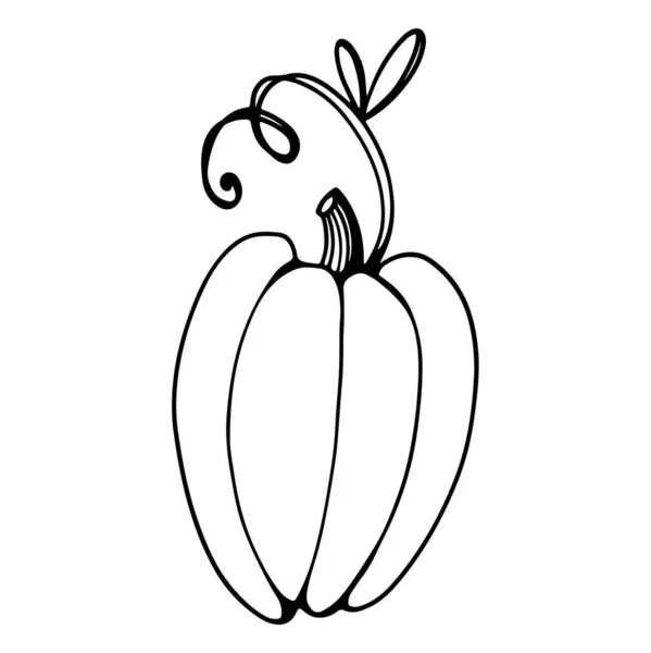 Pumpkin Tail Leaf Doodle Contour Cute Digital Art Print Cards — Stock Photo, Image