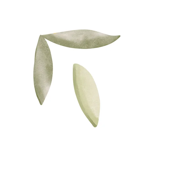 Groene Bladeren Eenvoudige Schattig Aquarel Textuur Digitale Kunst Print Voor — Stockfoto