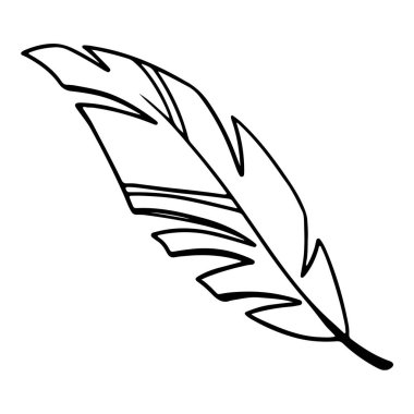 Dijital sanat, güzel çizgiler, tropik muz palmiyesi yaprağı. Afişler, posterler, kartlar, tekstil, web tasarımı, davetiye, ambalaj kağıdı için yazdır.