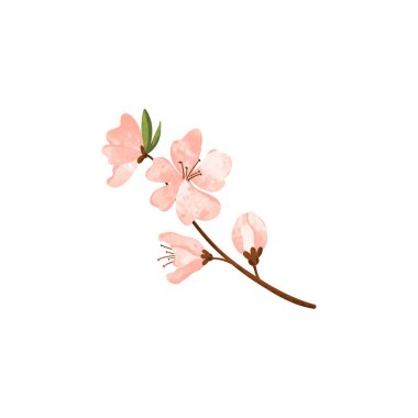 Dijital sanat şirin pembe şeftali çiçeği dalı. Kumaşlar, ambalaj kağıdı, kapaklar, kartlar, davetiye kartları, posterler, afişler, web tasarımı.