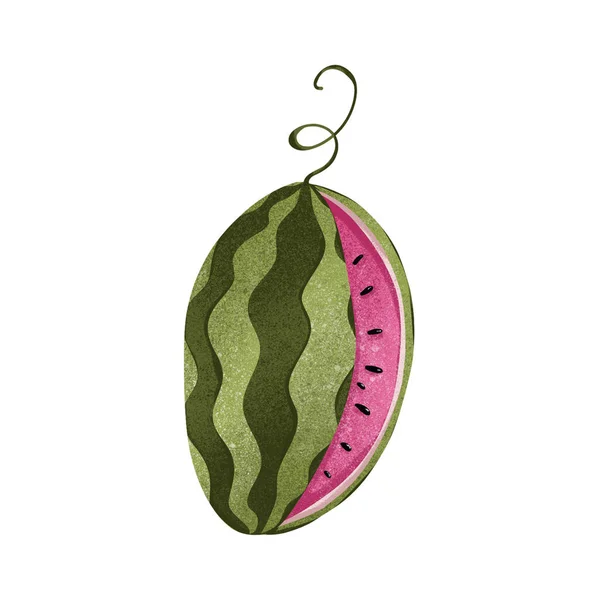 Digital Illustration Textural Bright Pink Juicy Watermelon Sliced Slice Print — Stock Photo, Image