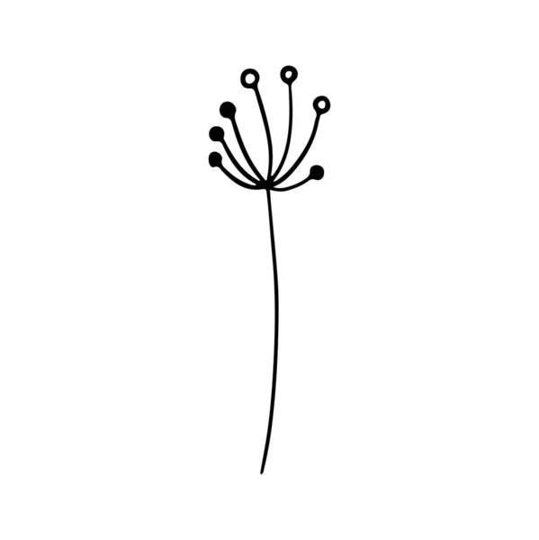 Ilustración Digital Lindo Contorno Negro Doodle Primavera Tema Flor Seca — Foto de Stock