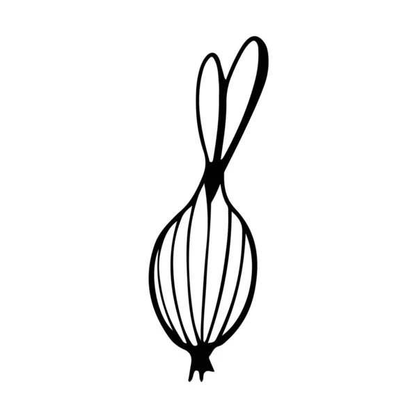Цифровая Иллюстрация Симпатичного Чёрного Контура Весеннего Цветка Колбой Печать Одежды — стоковое фото