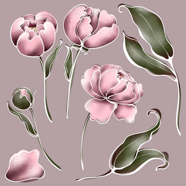 Digital flat illustration of elegant pink peonies elements set. Print for the design of cards, invitations, banners, fabrics, posters, paper, covers.