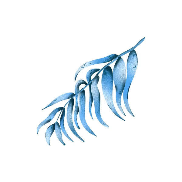Digitální Ploché Ilustrace Jeden Tropický Exotický Tyrkysově Modrý Roztomilý List — Stock fotografie