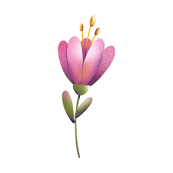 Ilustração Digital Uma Estampa Floral Moderna Pequenas Tulipas Folhas Bagas — Fotografia de Stock