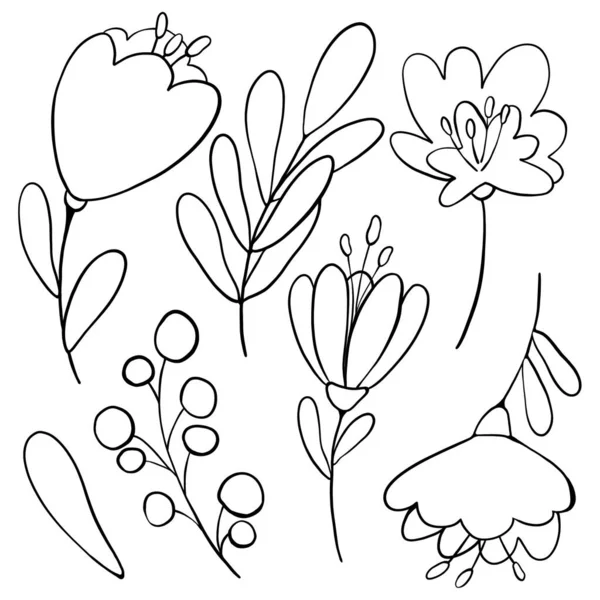 流行の花の黒い輪郭の印刷セットのデジタルイラスト 小さなチューリップ 葉や果実 カード バナー ファブリック 招待状のための夏と春のモチーフ — ストック写真
