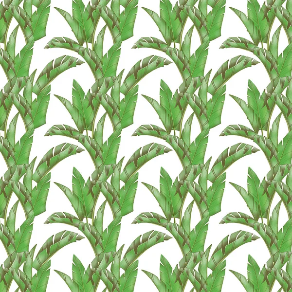 Padrão Ilustração Digital Criativo Bonito Verde Rosa Tropical Folhas Texturais — Fotografia de Stock