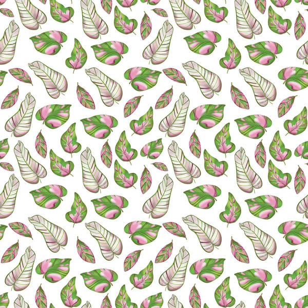 Illustration Numérique Motif Créatif Mignon Vert Rose Feuilles Texturales Tropicales — Photo