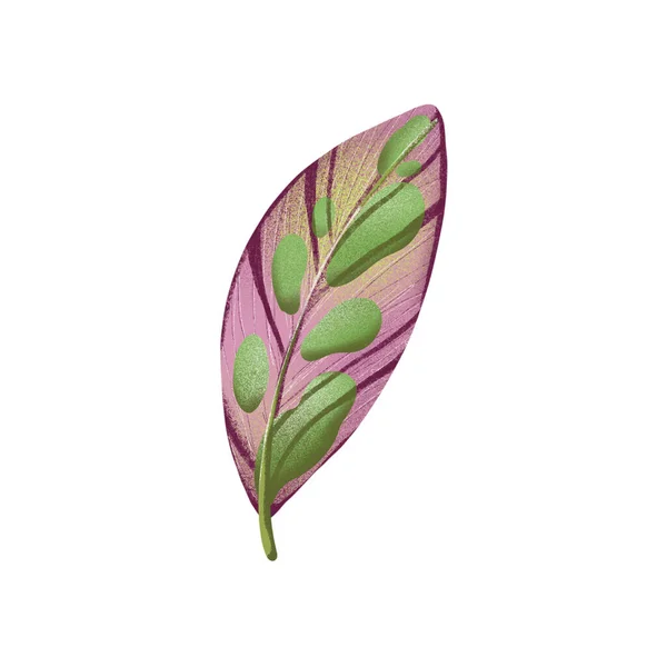Ilustración Plana Digital Una Sola Hoja Tropical Verde Rosa Creativa — Foto de Stock