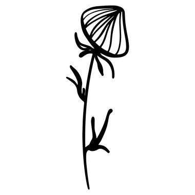 Şirin papatya çiçekleri. Dijital karalama sanatı. Kumaş, ambalaj kağıdı, kutular, ürünler, web sitesi tasarımı, posterler, kartlar, menüler, kafeler için yazdır.