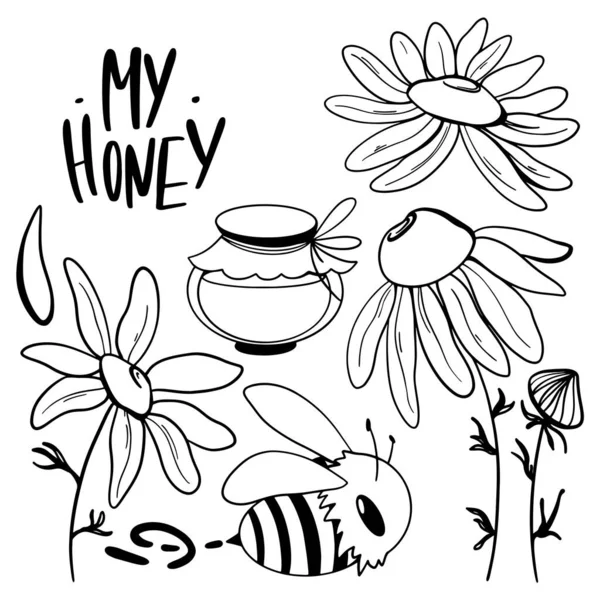 Leuke Set Gele Bij Madeliefjes Bloemen Honingpot Digitale Doodle Outline — Stockfoto