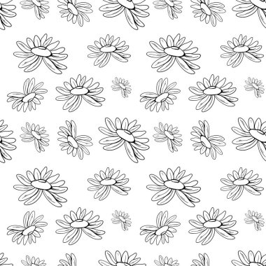 Şirin kare, sessiz papatya çiçeği. Beyaz arka planda Doodle sanat taslağı. Kumaş, giysi, ambalaj kağıdı, kart, ambalaj, pankart, çocuk tekstil ve kitapları için baskı.