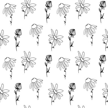 Şirin kare, sessiz papatya çiçeği. Beyaz arka planda Doodle sanat taslağı. Kumaş, giysi, ambalaj kağıdı, kart, ambalaj, pankart, çocuk tekstil ve kitapları için baskı.