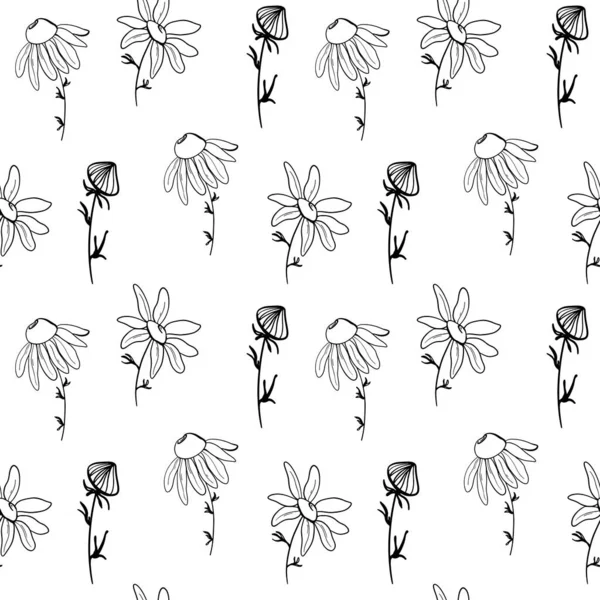 Bonito Quadrado Padrão Silencioso Flor Margarida Desenho Arte Doodle Fundo — Fotografia de Stock