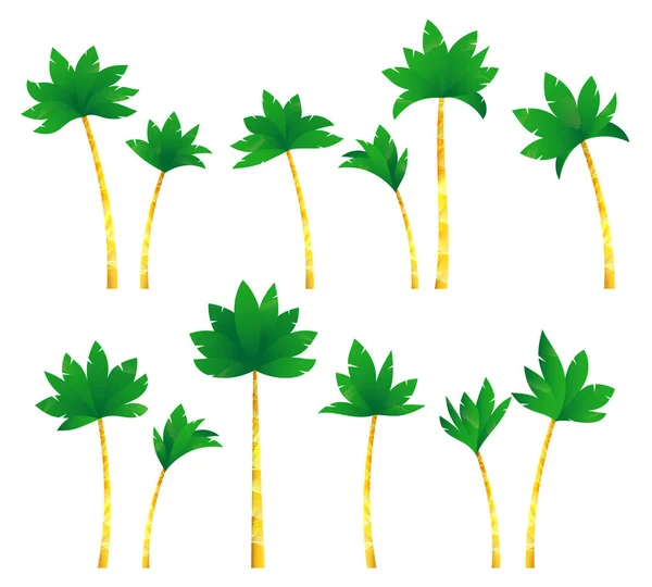 Set de palmiers tropicaux  . — Image vectorielle