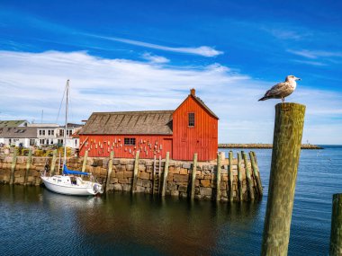 Rockport 'ta kırmızı balıkçı kulübesi ve kışlada martı.