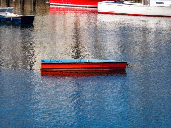 Bote Remos Rojo Azul Agua Con Gaviota Dentro —  Fotos de Stock