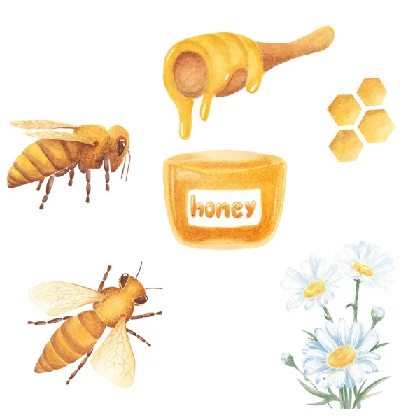 Conjunto acuarela. Tarro de vidrio de miel, cuchara de miel, panal. Insectos abeja miel. Aislado sobre fondo blanco. Pintado a mano. Dibujo gráfico para diseño, invitación, tarjetas de felicitación . —  Fotos de Stock
