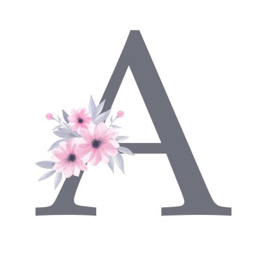 İngiliz alfabesi. Suluboya çiçek desenli A harfi. Pembe çiçekler, gri yapraklar. Beyaz arka planda izole edilmiş. El resmi çizimi. Tasarım, tebrik kartları ve diğer yazı tipleri. 