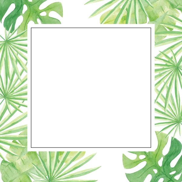 エキゾチックな熱帯の葉のヤシの木、モンステラと水彩フレーム。白を背景にしたミニマルなエキゾチックな森の緑のハーブ。手描き。エレガントなデザイン。招待状、カード、メニューに最適です。. — ストック写真