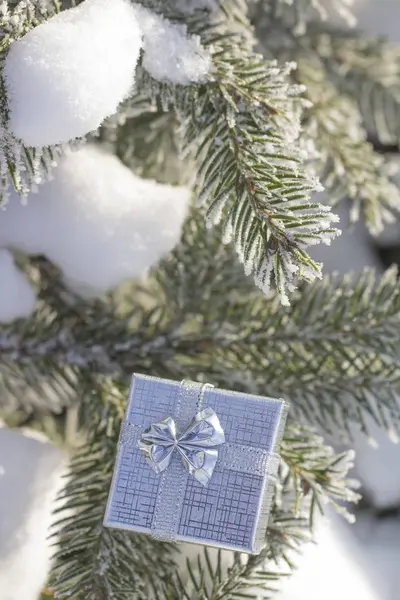 Christmas decoration box (silver) Stock Image