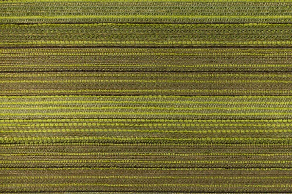 Bruin - groene achtergrond met een patroon van abstracte. — Stockfoto