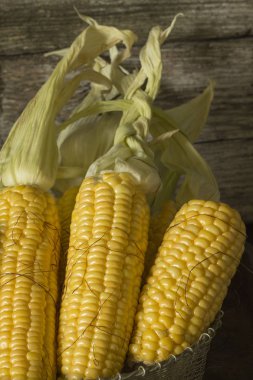 Sökük ve olgun cob Mısır görünümünü